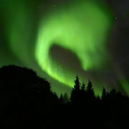 Laplandgreen Near Center Apartman Rovaniemi