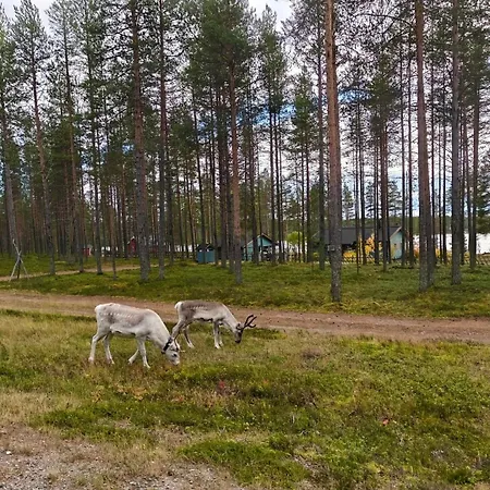 Laplandgreen Near Center