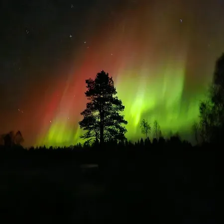 Laplandgreen Near Center Apartman Rovaniemi