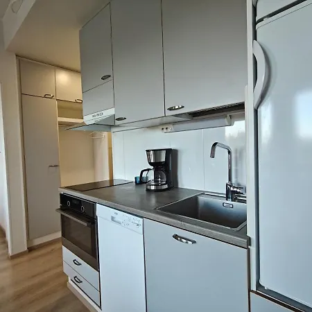 Laplandgreen Near Center Apartman