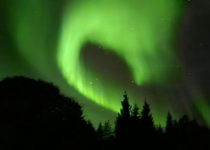 Laplandgreen Near Center Lägenhet Rovaniemi