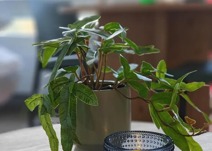 Lägenhet Laplandgreen Near Center Rovaniemi