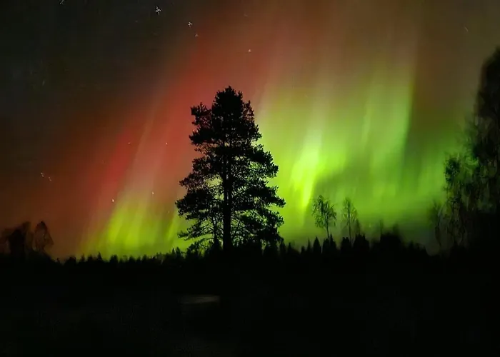 Laplandgreen Near Center Lägenhet Rovaniemi